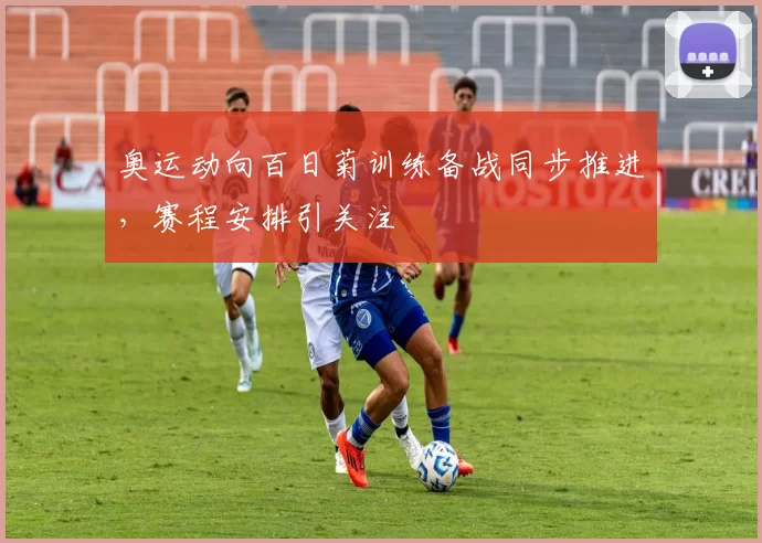 奥运动向百日菊训练备战同步推进,赛程安排引关注