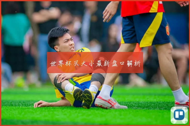 世界杯买大小最新盘口解析