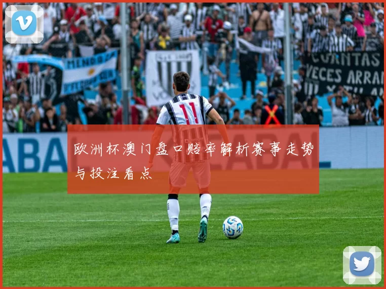 欧洲杯澳门盘口赔率解析赛事走势与投注看点