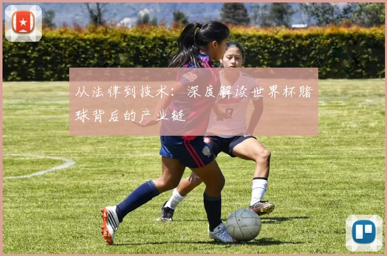 从法律到技术:深度解读世界杯赌球背后的产业链