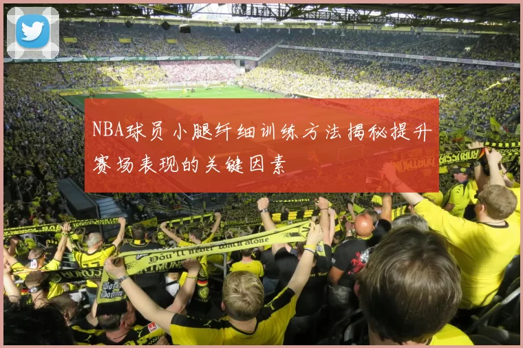 NBA球员小腿纤细训练方法揭秘提升赛场表现的关键因素