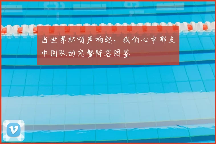 当世界杯哨声响起,我们心中那支中国队的完整阵容图鉴