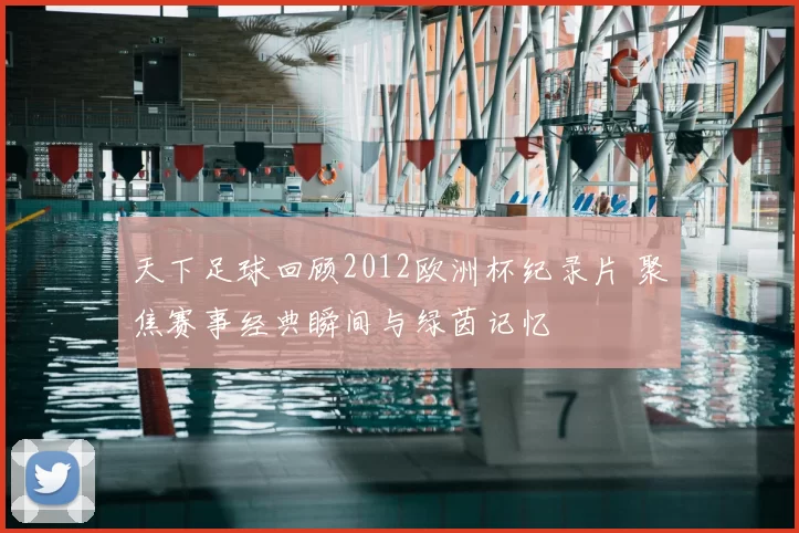 天下足球回顾2012欧洲杯纪录片 聚焦赛事经典瞬间与绿茵记忆