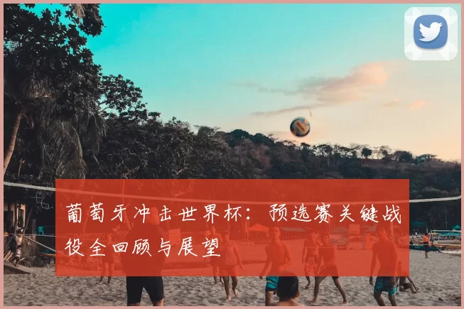 葡萄牙冲击世界杯：预选赛关键战役全回顾与展望