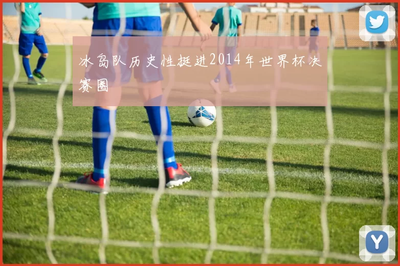 冰岛队历史性挺进2014年世界杯决赛圈