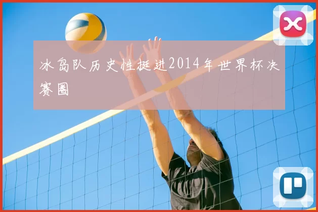 冰岛队历史性挺进2014年世界杯决赛圈