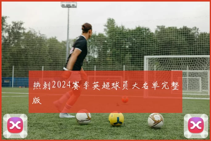 热刺2024赛季英超球员大名单完整版