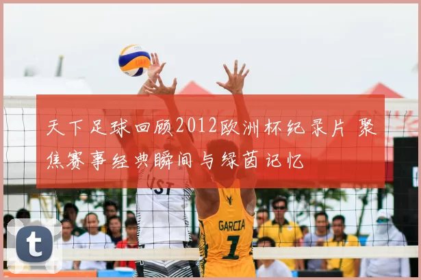 天下足球回顾2012欧洲杯纪录片 聚焦赛事经典瞬间与绿茵记忆