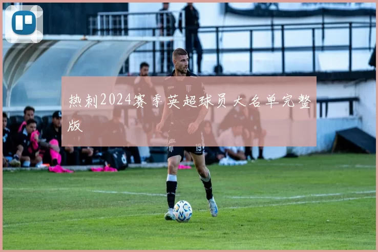 热刺2024赛季英超球员大名单完整版