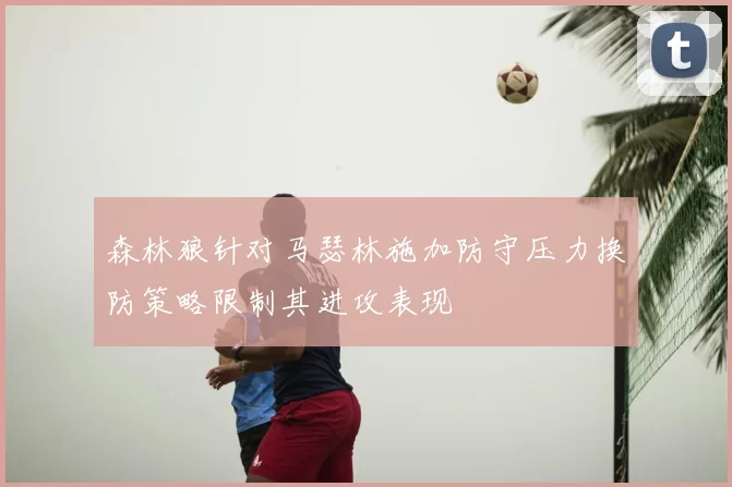 森林狼针对马瑟林施加防守压力换防策略限制其进攻表现