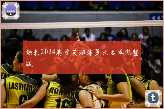 热刺2024赛季英超球员大名单完整版