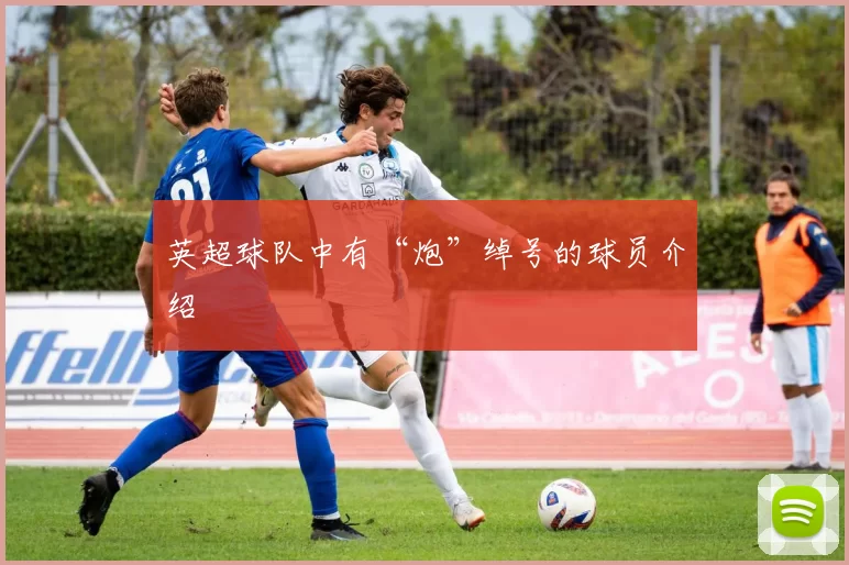英超球队中有“炮”绰号的球员介绍