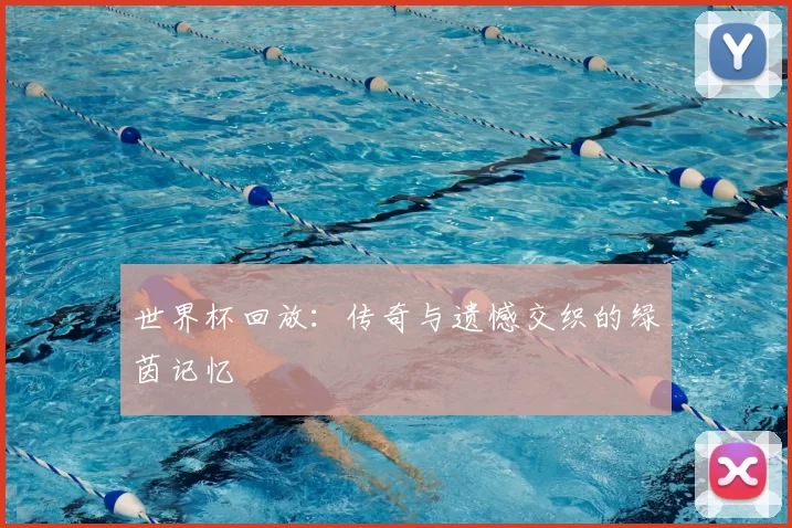 世界杯回放:传奇与遗憾交织的绿茵记忆
