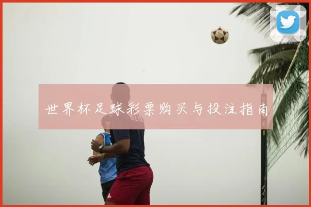 世界杯足球彩票购买与投注指南