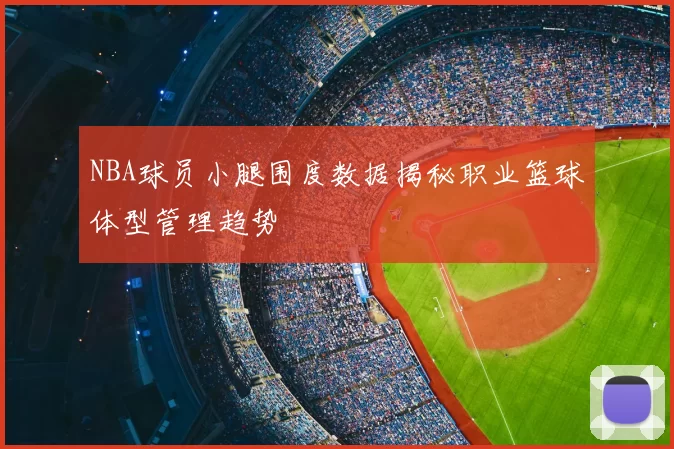 NBA球员小腿围度数据揭秘职业篮球体型管理趋势