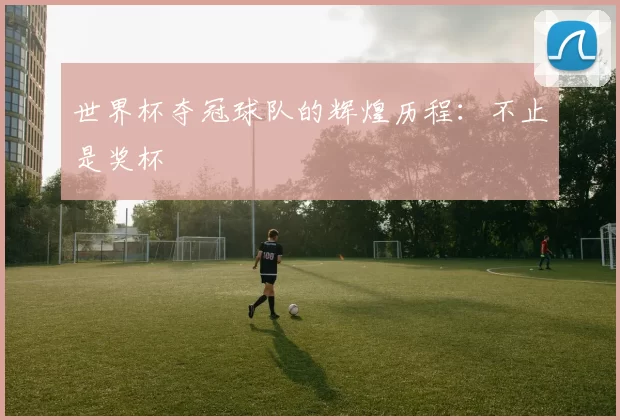 世界杯夺冠球队的辉煌历程:不止是奖杯