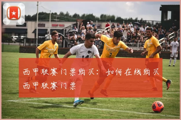 西甲联赛门票购买：如何在线购买西甲联赛门票