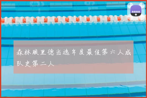森林狼里德当选年度最佳第六人成队史第二人