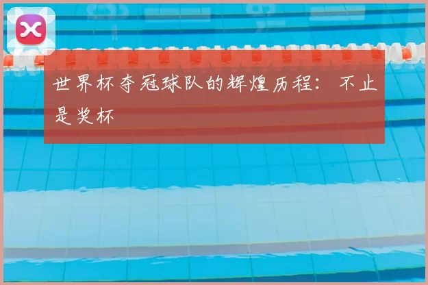 世界杯夺冠球队的辉煌历程:不止是奖杯