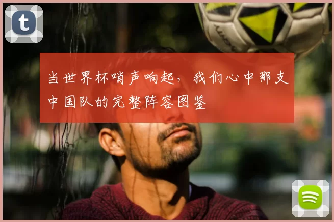 当世界杯哨声响起,我们心中那支中国队的完整阵容图鉴
